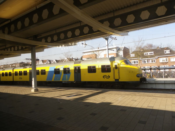 nl-ns-hondekop-zwolle-210311-full.jpg