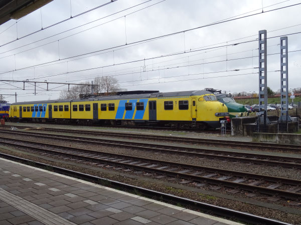 nl-ns-2xhondekop-amersfoort-081218-pic2-sannasiissalo-full.jpg